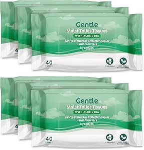 Gentle Moist Toilet Tissues, 6 packs of 40 by Amazon, Aloe Vera / Sensitive / Coconu