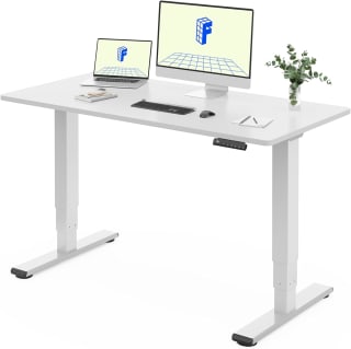 FLEXISPOT EC5 Lite verstelbaar ergonomisch bureau bij Amazon