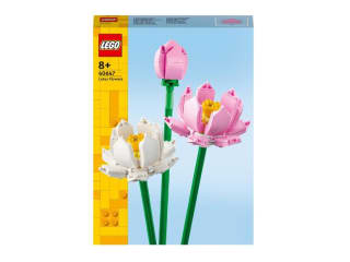 40647 les Fleurs de Lotus à 10,99€
