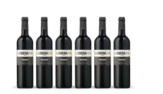 6 Botellas de LaBuenaUva 2024 por 35€