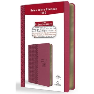 Biblia Reina Valera 1960 letra súper gigante fucsia por $11.290