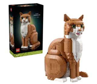 LEGO Ideas oranje kat 21376 voor €69,99 bij Dreamland