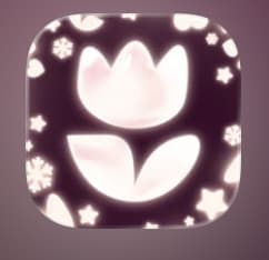 Flowwow App Flores y Regalos con 20% de Descuento NAVIDAD