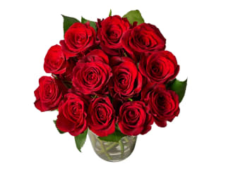 A Dozen Red Roses – Fresh Bouquet