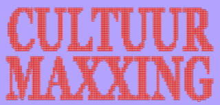 Gratis Cultuur Maxxing-uitstapjes bij De Standaard