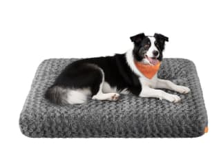 Feandrea Cama para Perros, Cojín, XL, para Perros Grandes 110 x 73 cm por 16.50€