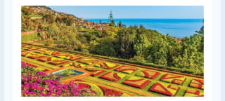 Madera 6 días desde 749€ por persona.