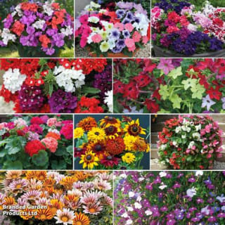 Summer Bumper Garden Collection | Free shipping with code Cloak