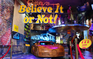 Ripley's Believe it or Not! tickets voor €11