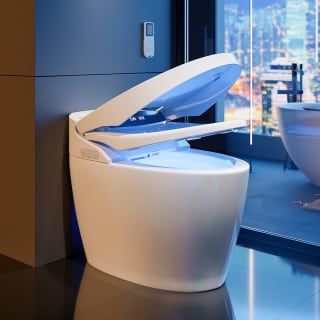 WC japonais au Sol 4,85 L/flush à 510,40