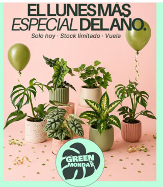 Soamente hoy plantas desde 0.99€