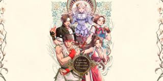 Capcom Fighting Collection 1 + 2 Bundle por 23.99€
