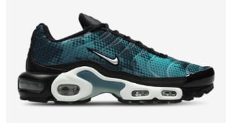 Paniers Nike Air Max Plus FL Tuned à 95€