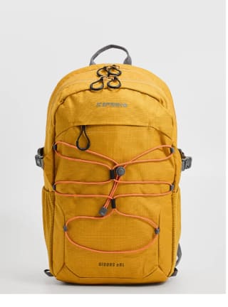 Mochila Icepeak GISORS por 40€