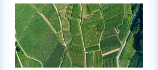 Alsacia Ruta de Vino 3 dìas desde 138€ para 2 personas.