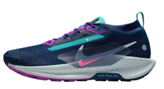 Nike Pegasus Trail 5 GTX homme pour 79,99€