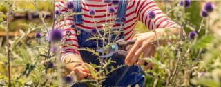 15% cashback op je aankoopbedrag van geselecteerde GARDENA snoeischaren