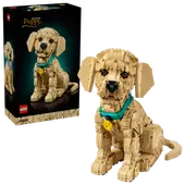 LEGO® Icons #11384 Golden retriever puppy voor €119,95 bij Proshop