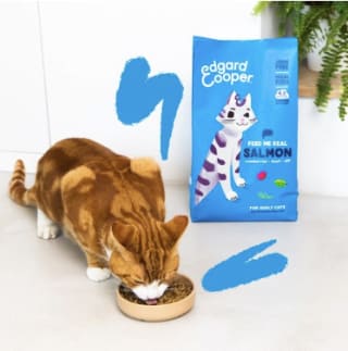 Edgard & Cooper Kattenvoer Zalm (4kg) voor €24,99