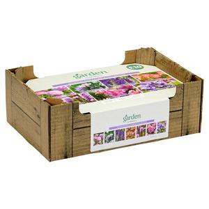 100 Bulbs Fun Mix Collection for £0.50