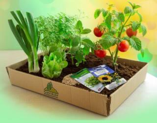 Gratis moestuinpakket via de app van Het Belang Van Limburg