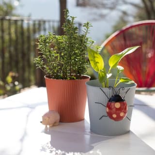 Maceta metálica, Zinc 16x15 cm $2.090 Oferta disponible en CasaIdeas, Chile