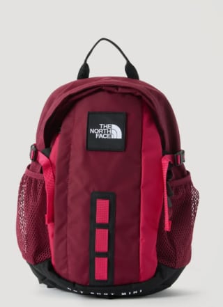 Mochila The North Face Hot Shot por 37€
