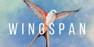 WINGSPAN voor €9,99 in de Nintendo eShop