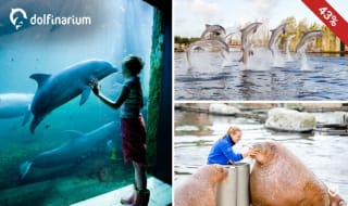 Entree voor het Dolfinarium voor €16,50 via Social Deal