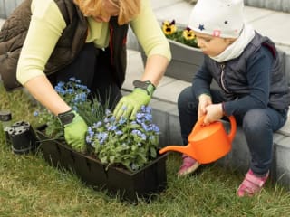 Gratis zakje met vergeet-mij-niet-zaadjes