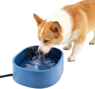 Dreamhigh verwarmde waterbak 3,5 L voor €4,99 bij bol.com