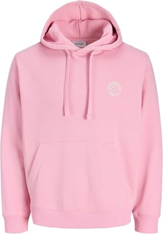 JACK & JONES Sweat Hood Sudadera con Capucha Jjalliance Hombre por 15€