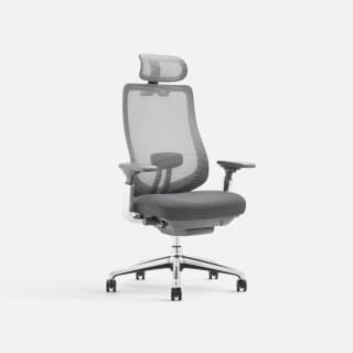 Colamy Atlas ergonomische bureaustoel voor €227,76 bij Colamyhome