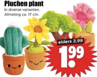Pluchen plant voor €1,99 bij Dirk