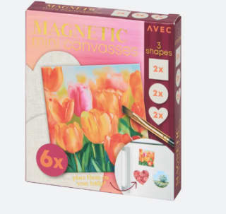 Magnetische mini-canvassen voor €0,89