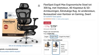 FlexiSpot ErgoX Max Ergonomische Stoel tot 300 kg, voor €379,99 bij AMazzon