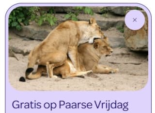 Bezoek ARTIS-Park vandaag vanaf 15.00 uur gratis als scholier of student