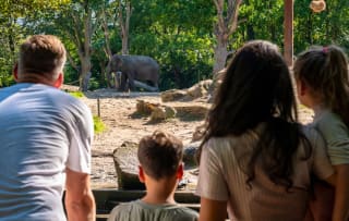 Diergaarde Blijdorp voor €21,50