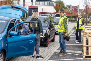 Gratis een boom of plant ophalen in Naaldwijk