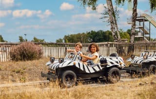 Verblijf + toegang Safaripark Beekse Bergen voor €270