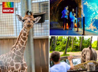 €2,50 korting op alle Dierentuin-uitjes via Tripper
