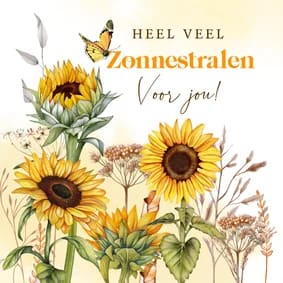 1+1 gratis op wenskaarten bij Kaartje2go