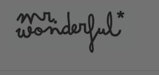 15% descuento desde la Newsletter de Mr Wonderfull