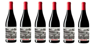 6 Botellas de Vallejo 2021 por 36.8€