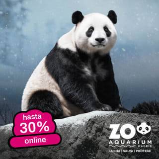 Hasta 35% de descuento ONLINE con tu Carné Joven entradas Zoo madrid