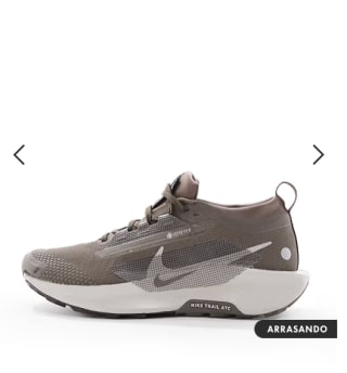 Nike Running ReactX Pegasus Trail 5 Gore-TEX Zapatillas Deporte Marrones Grises