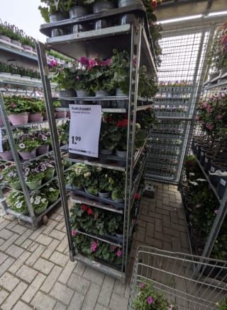 10 perkplantjes voor €1 tijdens de Plantjesmarkt bij de Gamma