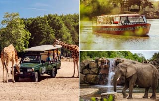 Entreeticket Safaripark Beekse Bergen voor €21,35 via Tripper