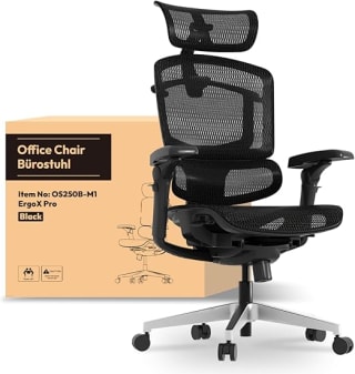 FlexiSpot ErgoX Pro Ergonomische Bureaustoel, voor €359,99 bij Amazon
