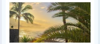 Tenerife Todo Incluido 5 días desde 458€.